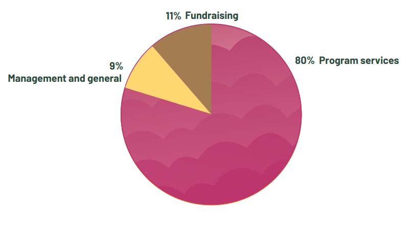 Pie chart showing percentages of 2020 expenses