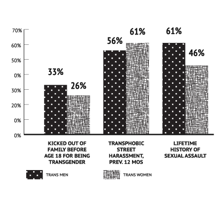 Graph: Interpersonal Violence by Gender Identity

Kicked out of family before age 18 for being transgender: Trans men 33%;  Trans women 26%

Transphobic street harassment, previous 12 months: Trans men 56%; Trans women 61%

Lifetime history of sexual assault: Trans men 61%; Trans women 46%