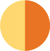 Un gráfico de pastel naranja que muestra 50%.