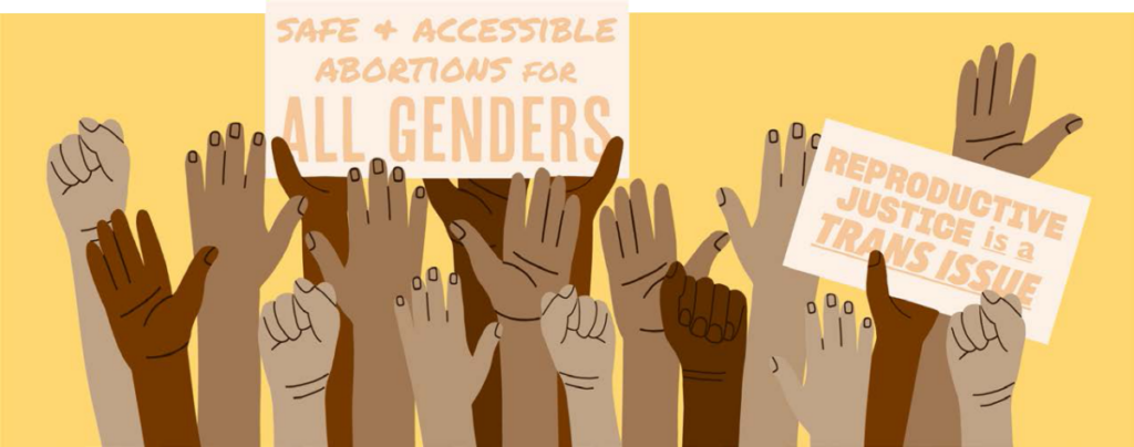 (vector art) A diverse array of raised hands and holding signs that say "Safe and accessible abortions for all genders" and "reproductive justice is a trans issue"