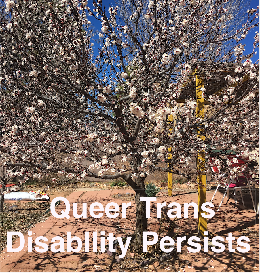 Queer Trans Disability Persists