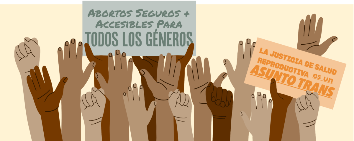(arte vectorial) Una multitud de manos y puños en alto, de una gran gama de diferentes colores de piel, sosteniendo letreros que dicen, “Abortos seguros y accesibles para todos los géneros” y “las personas trans merecemos justicia reproductiv a”